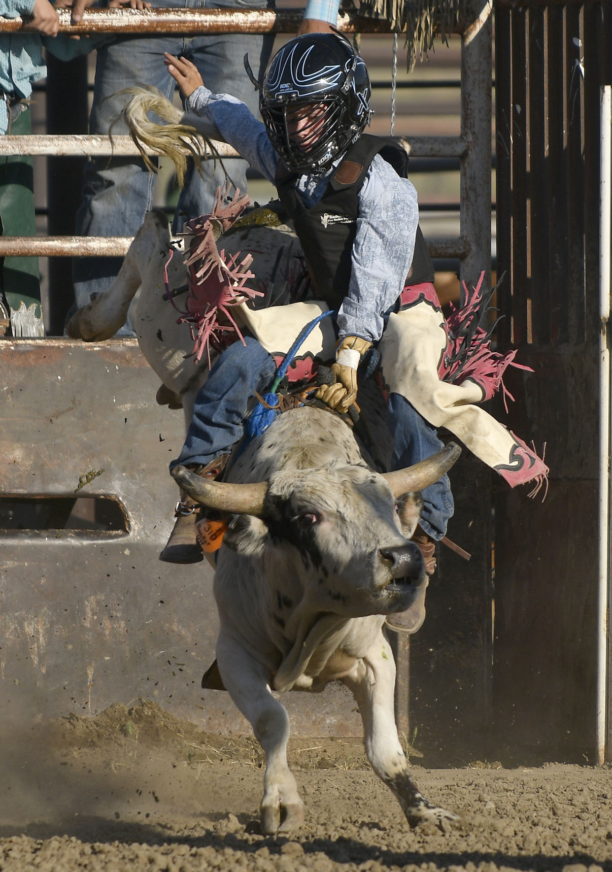 Lincoln County Mini Bull Riding